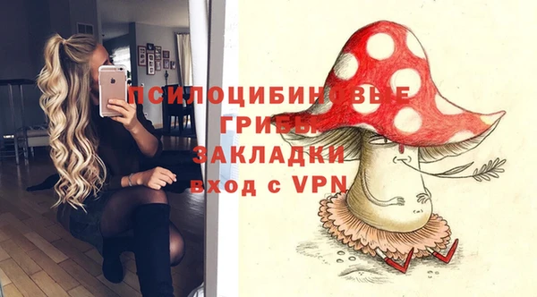 прущая мука Армянск