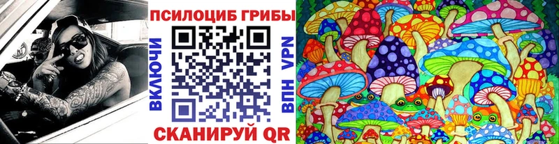 Галлюциногенные грибы Cubensis хочу наркоту omg онион Углич